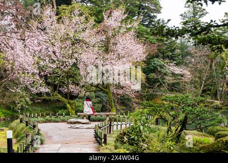 Eine Frau sitzt auf einer Bank vor einem Baum mit rosa Blüten. Die Szene ist friedlich und ruhig, die Frau genießt die Schönheit der Natur Stockfoto