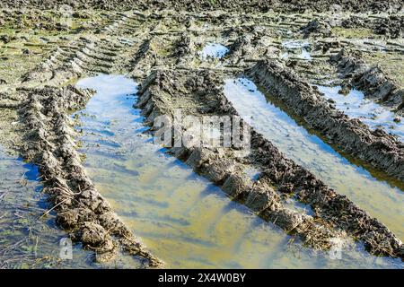 Traktorreifenspuren auf schlammigem, wasserdurchflutetem Bauernhof nach starkem Regen - Zentralfrankreich. Stockfoto