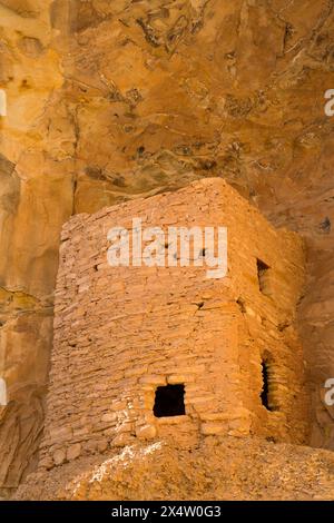 Turm Ruinen, uralten Pueblo, bis zu 1.000 Jahre alt, Bären Ohren National Monument, Utah, USA Stockfoto