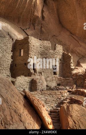 River House Ruine, angestammte Puebloan Cliff Wohnung, 900-1300 n. Chr., Bären Ears National Monument, Utah, USA Stockfoto