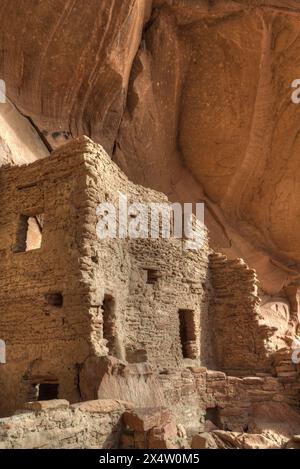 River House Ruine, angestammte Puebloan Cliff Wohnung, 900-1300 n. Chr., Bären Ears National Monument, Utah, USA Stockfoto