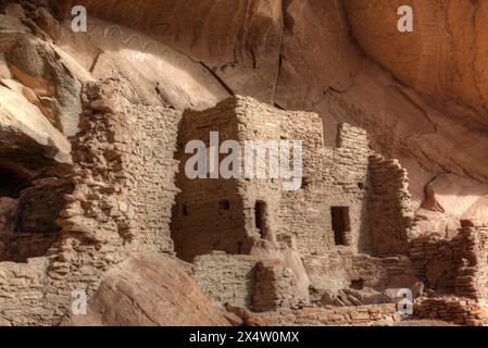 River House Ruine, angestammte Puebloan Cliff Wohnung, 900-1300 n. Chr., Bären Ears National Monument, Utah, USA Stockfoto