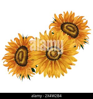 Aquarell Sonnenblumenstrauß, Blumenarrangement, gelbe Blumenkomposition. Handgezeichnete botanische Illustration. Sommerblumenzeichnung. Herbst Stockfoto