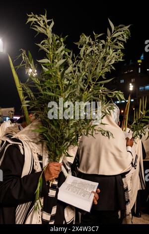 Ein orthodoxer jüdischer Mann hält eine große Gruppe von langen Weidenzweigen, eine der vier Pflanzenarten, die bei der rituellen Einhaltung von Sukkot verwendet werden, auf Hosha Stockfoto