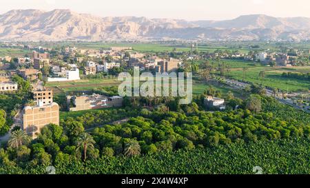 Üppige Felder, die in Luxor, Ägypten, angebaut werden. Stockfoto