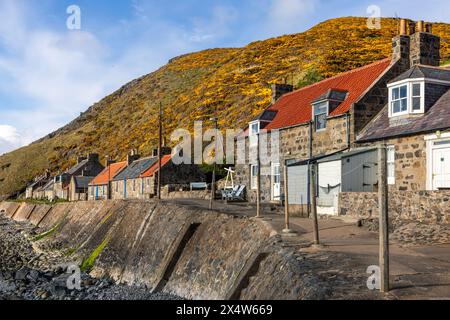 Crovie, ein winziges Fischerdorf in Aberdeenshire, schmiegt sich an einen schmalen Felsvorsprung zwischen dem Meer und den hohen Klippen und schafft so eine einzigartige malerische Szene. Stockfoto