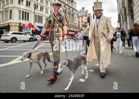 London, Großbritannien. 5. Mai 2024. Elegant gekleidete Menschen und ihre Hunde nehmen am vierten Grand flâneur Walk Teil. Beginnend an der Beau Brummell Statue in der Jermyn Street fällt der Spaziergang mit dem 25. Jahrestag des CHAP Magazins zusammen und wird definiert als ein Spaziergang ohne Zweck, der die Kunst des flâneur feiert, ohne irgendwohin zu gehen, und ein Gegenmittel für die Anforderungen des modernen Lebens und des digitalen Smartphones. Quelle: Stephen Chung / Alamy Live News Stockfoto