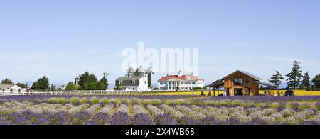 Sequim Washington Lavendelsaison mit wunderschönen Gebäuden Stockfoto