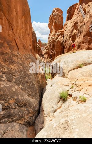 Schmaler Sandstone Desert Rock Canyon mit steilen Wänden im Fiery Furnace Hiking Trail, Arches National Park, Utah, USA Stockfoto