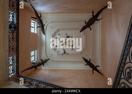 Nîmes, Frankreich - 04 17 2024: Blick auf die vier Kuschelkrokodile auf der Treppe des Rathauses Stockfoto