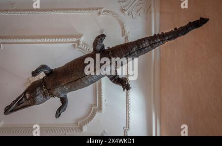 Nîmes, Frankreich - 04 17 2024: Blick auf die vier Kuschelkrokodile auf der Treppe des Rathauses Stockfoto