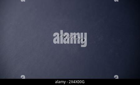 Jurmala, Lettland 23.04.2024: Nahaufnahme eines schwarzen Dyson-Logos Stockfoto