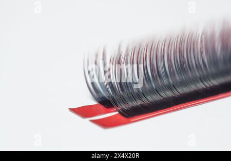 Lange schwarze Wimpern mit pinkfarbenen Enden auf weißem Hintergrund. Wimpernverlängerungsverfahren. Material für Wimpernverlängerungen. Stockfoto