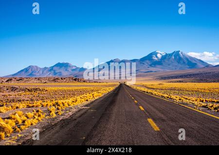 Typische chilenische Altiplano-Landschaft in der Nähe von San Pedro de Atacama, Chile. Stockfoto