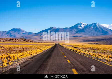 Typische chilenische Altiplano-Landschaft in der Nähe von San Pedro de Atacama, Chile. Stockfoto