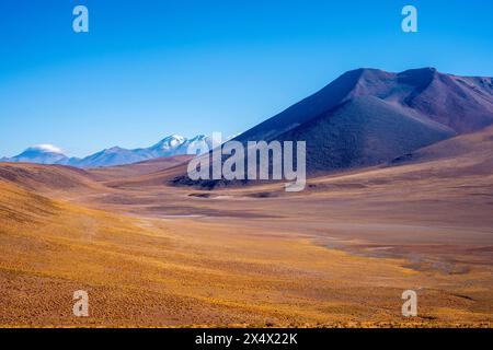 Typische chilenische Altiplano-Landschaft in der Nähe von San Pedro de Atacama, Chile. Stockfoto