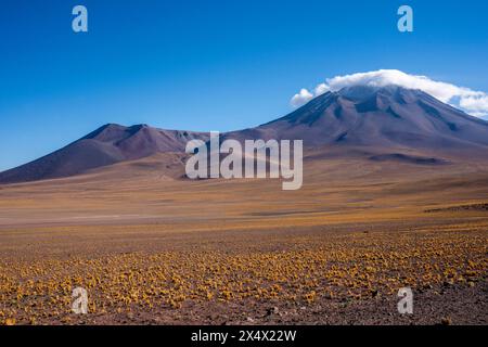 Typische chilenische Altiplano-Landschaft in der Nähe von San Pedro de Atacama, Chile. Stockfoto