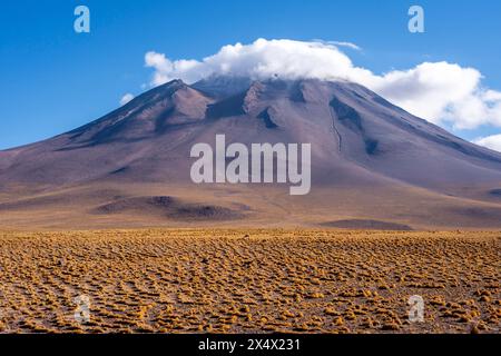 Typische chilenische Altiplano-Landschaft in der Nähe von San Pedro de Atacama, Chile. Stockfoto