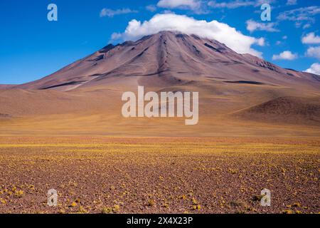 Typische chilenische Altiplano-Landschaft in der Nähe von San Pedro de Atacama, Chile. Stockfoto