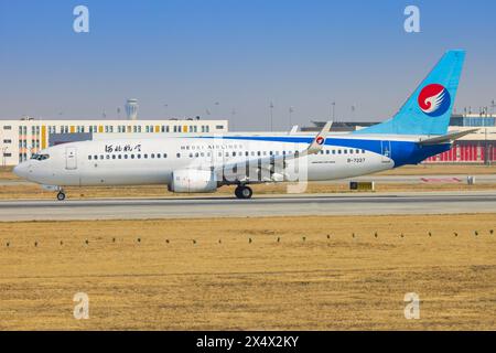 Hebei Boeing 737 Flugzeuge mit Yunnan Peacock (orange) am Flughafen Shanghai in China im April 2024 Stockfoto