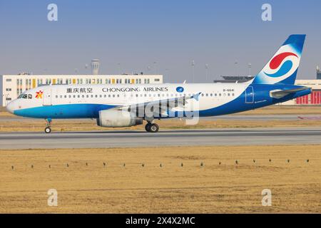 Chongqing Boeing 737 Flugzeuge mit Yunnan Peacock (orange) am Flughafen Shanghai in China im April 2024 Stockfoto