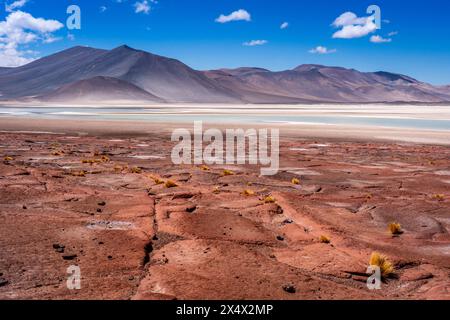 Piedras Rojas (Rote Steine), in der Nähe von San Pedro de Atacama, Chile. Stockfoto