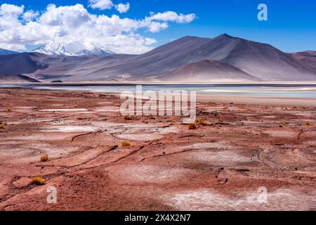 Piedras Rojas (Rote Steine), in der Nähe von San Pedro de Atacama, Chile. Stockfoto