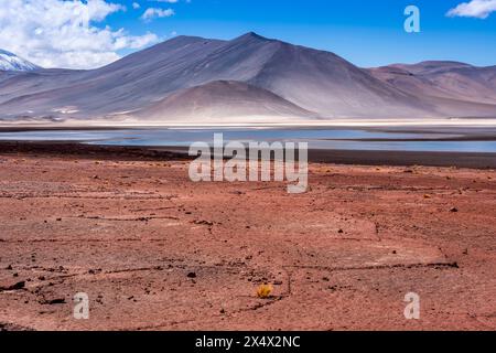 Piedras Rojas (Rote Steine), in der Nähe von San Pedro de Atacama, Chile. Stockfoto