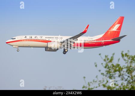 Shanghai Boeing 737 Flugzeuge am Flughafen Shanghai in China im April 2024 Stockfoto