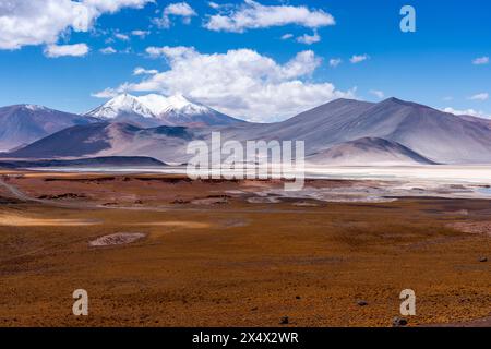 Typische chilenische Altiplano-Landschaft in der Nähe von San Pedro de Atacama, Chile. Stockfoto