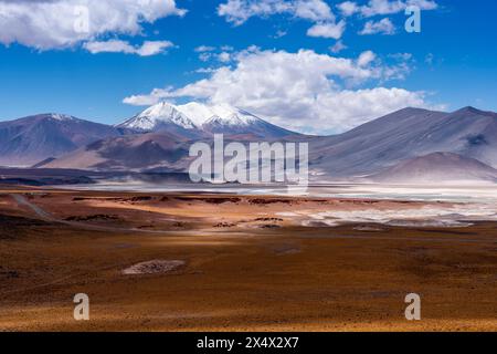 Typische chilenische Altiplano-Landschaft in der Nähe von San Pedro de Atacama, Chile. Stockfoto