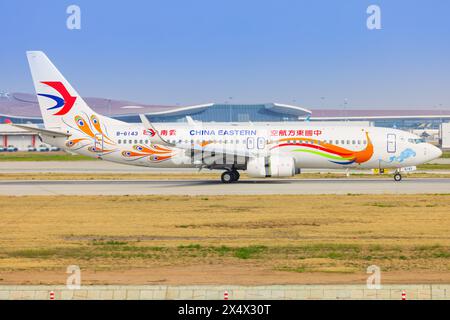 China Boeing 737 Flugzeuge mit Yunnan Pfau (orange) am Flughafen Shanghai in China im April 2024 Stockfoto