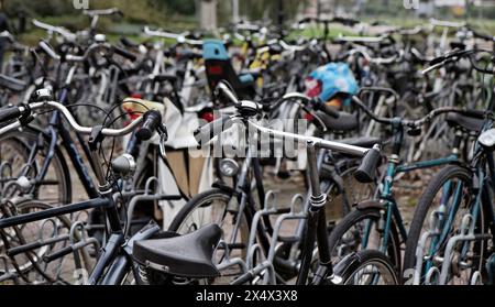 Holland, Volendam (Amsterdam), Fahrräder, Parkplatz Stockfoto