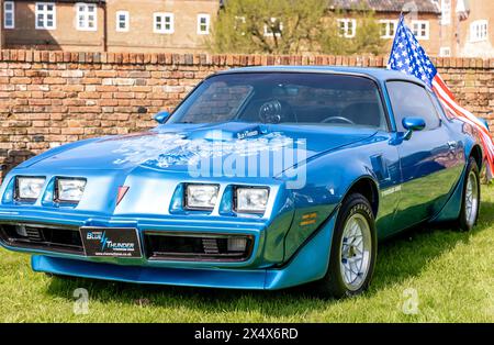 1979 Vintage Pontiac Firebird Trans am Stockfoto