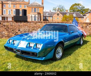 1979 Vintage Pontiac Firebird Trans am Stockfoto