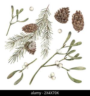 Tannenzweige, Tannenzapfen und Mistel, Weihnachtsset botanischer Illustrationen mit Aquarellen auf isoliertem Hintergrund. Zeichnung für Weihnachten und Neujahr Stockfoto