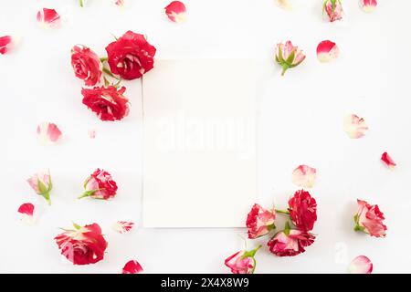 Rahmen aus Rosen auf weißem Hintergrund. Leere Karte mit roten Rosen flach gelegt Stockfoto