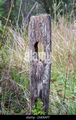 Alte und verwitterte Holzzaunpfosten auf einem Feld Stockfoto