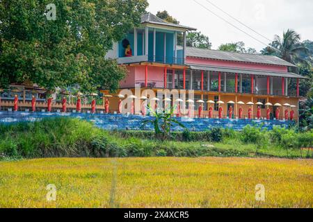 Dambulla, Sri Lanka 10. februar 2023. Reihe buddhistischer Mönchsstatuen neben dem Goldenen Tempel in Dambulla im Zentrum von Sri Lanka. Stockfoto