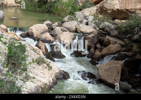 Caminito del Ray, der Pfad des Königs. Der Fußweg ist entlang der steilen Wände einer engen Schlucht in El Chorro, Malaga, Spanien Stockfoto