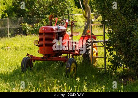 Langeac, Frankreich - 27. Mai 2023: Ein roter Massey Harris Pony Traktor steht auf einem grünen Grasfeld. Stockfoto