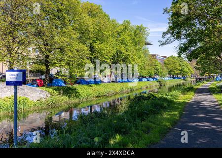 Zelte, die von Asylbewerbern oder Flüchtlingen, die internationalen Schutz suchen, am Ufer des Grand Canal in Dublin, Irland aufgestellt werden. Stockfoto