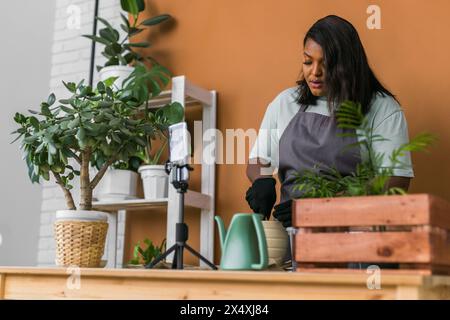 Ein afroamerikanischer Florist-Blogger filmt ein Tutorialvideo über die Pflanzung von Pflanzen im Heimgarten. Video-Vlog mit Mobiltelefon erstellen Stockfoto