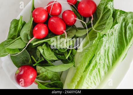 Eine grüne Mischung aus frischem Gemüse für den Salat. Romaine Salat, Spinat und Radieschen aus nächster Nähe auf dem Küchentisch Stockfoto