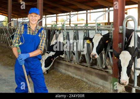 Bauer mit Pitchfork in den Händen im Cowhouse Stockfoto