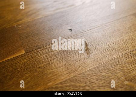 Nahaufnahme eines Parkettbodens mit sichtbarem Kratzer bei Verwendung mit Defekt, der die Textur und das Muster betont. Bild des Konzepts „Destroyed House Flooring“ Stockfoto