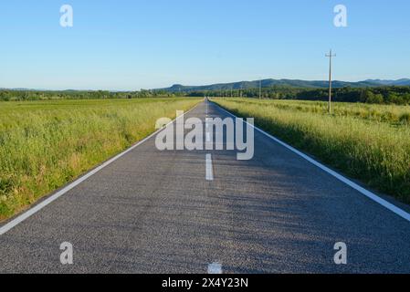 Ein großer Blick auf eine geraden und verlassene Landstraße, flankiert von grünen Feldern und Hügeln in der Ferne, Maremma, Toskana, Italien Stockfoto