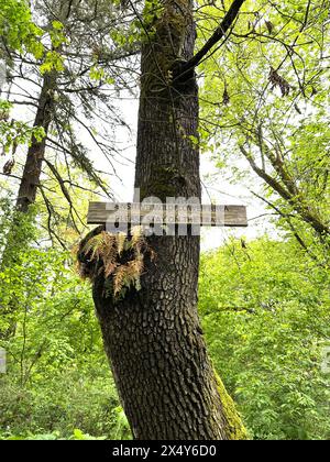 Ein Schild auf einem Baum mit der Aufschrift „Sensitive Wildflower area, Please stay on Trail“ in einem Wald in Eugene, Oregon. Stockfoto