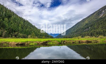 Das malerische Stafford Estuary Conservancy am Ende des Loughborough Inlet an der Westküste von British Columbia. Stockfoto