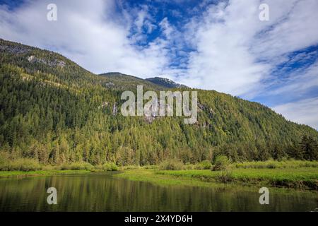 Das malerische Stafford Estuary Conservancy am Ende des Loughborough Inlet an der Westküste von British Columbia. Stockfoto